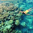 VISIT 2 REEF LOCATIONS