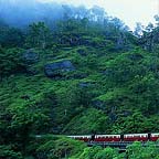 KURANDA SCENIC TRAIN