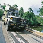 BILLY TEA BUSH SAFARI TO THE DAINTREE RAINFOREST