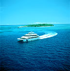 GREAT BARRIER REEF DAY TRIP FROM GREEN ISLAND