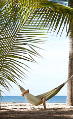 ABSOLUTE BEACHFRONT RESORT