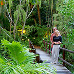 BUNGALOWS IN THE RAINFOREST