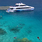 AGINCOURT REEF
