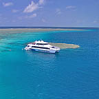 COMFORTABLE CRUISE BACK TO PORT DOUGLAS