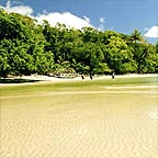 CAPE TRIB BEACH