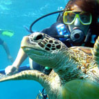 FREE INTRO OR CERT DIVE