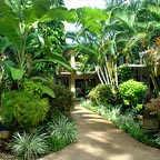 TROPICAL RETREAT