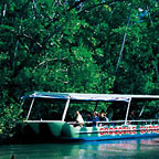DAINTREE RIVER CRUISE