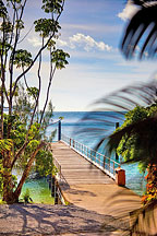 PARADISE