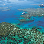 SUNLOVER OUTER REEF