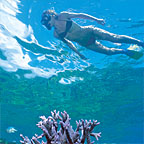 SNORKELING