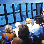 SUNLOVER UNDERWATER OBSERVATORY