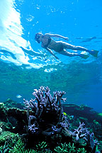 UNDERWATER WORLD