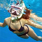 EXPLORE THE REEF