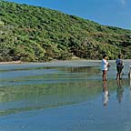 CAPE TRIB BEACH