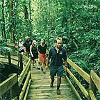 ELEVATED BOARDWALKS