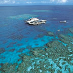 VISIT AGINCOURT REEF