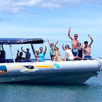 OCEAN SAFARI