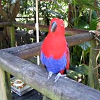 WILDLIFE SANCTUARY