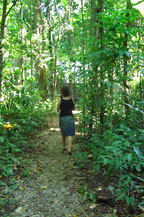 RAINFOREST WALK