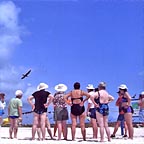 SEABIRD SANCTUARY