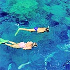 REEF CRUISE