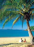 11 beautiful secluded sandy beaches.