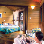tree house cabin