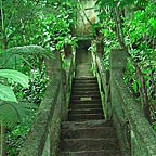 Botanical Walk