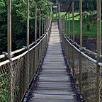 rope bridge over the falls