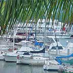 cairns marina