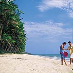 ellis beach