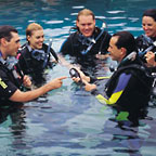5 TRAINING DIVES