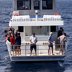 REEF FISHING