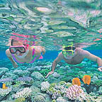 snorkelling on the reef
