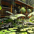 TIMBER LODGE IN LUSH RAINFOREST SURROUNDS