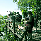 KULKI SCENIC LOOKOUT