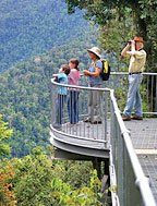 Mamu Rainforest Canopy Walkway