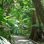 WET TROPICS