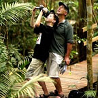 spot native wildlife