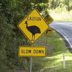 CASSOWARY ROAD SIGN