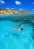 LIZARD ISLAND