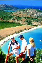 WALKING TRACKS AT LIZARD ISLAND