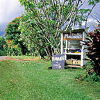ROAD SIDE FRUIT STALL