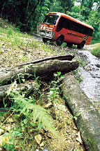 TOUR BUS AT DAVIES CREEK