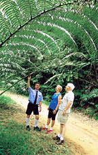 TOUR GUIDE