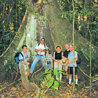 WOOROONOORAN RAINFOREST WALKS