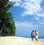 PALM FRINGED BEACH