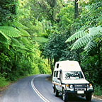 THE DAINTREE RAINFOREST IS A 2 HOUR DRIVE NORTH OF CAIRNS
