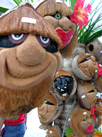 GET A CUSTOM MADE COCONUT HEAD